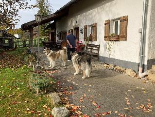 Ferienhaus Winter in Blaibach