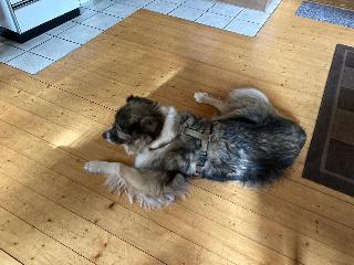 Ferienhaus Winter in Blaibach