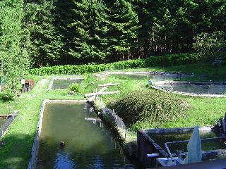 Haus Christine, Haus Johanna in Riedlhütte