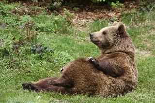  Landurlaub bei Familie Haug in Freyung