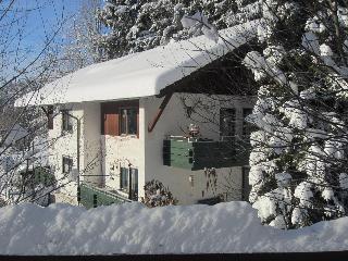 Haus Bruni in Spiegelau