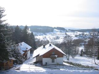 Komfort-FeWo Sylvia in Spiegelau