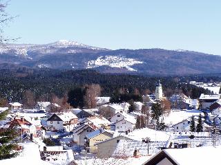 Hotel-Pension Würzbauer in Spiegelau
