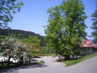 Ferienwohnung Lindenhof in Sankt Englmar