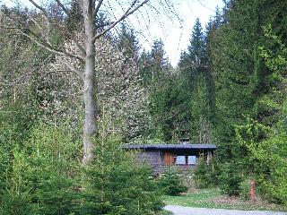 Holzhäuschen Plattenhöhe in Rinchnach