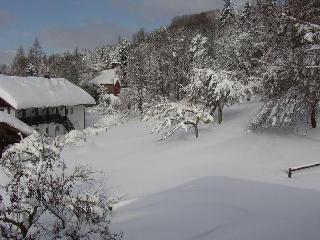 Degenberger Hof in Schwarzach