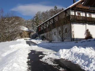 Degenberger Hof in Schwarzach