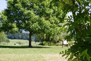 Gasthof zum Sonnenwald in Schöfweg