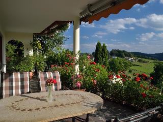 Ferienwohnungen Fam.Grill in Schönberg