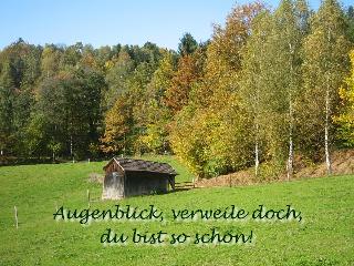 Ferienhof Kopp   in Drachselsried