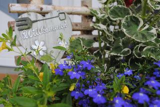 Ferienwohnungen Plenk in Bischofsmais
