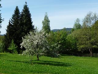 Ferienhaus Heidi Vogl in Arnbruck