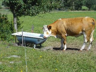 Wieser Josef FW in Arnbruck