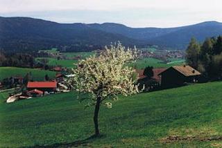 Ferienwohnung Meindl in Arnbruck