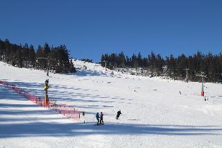 Ferienwohnungen Leithenwald in Zwiesel