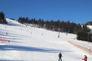 Ferienwohnungen Leithenwald in Zwiesel