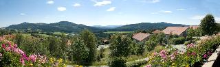 Haus Drei Birken  in Bodenmais