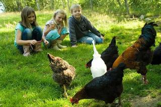 Kinderparadies + Bio-Bauernhof in Schönberg