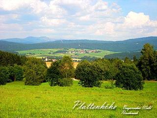 Holzhäuschen Plattenhöhe in Rinchnach