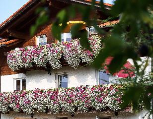 Landhaus Bauer in Bodenmais
