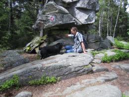 Pension Sonnleitn - Ihr Urlaub mit Hund  in Zwiesel
