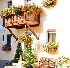 Bauernhof König     in Zwiesel