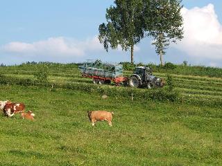 Bauernhof König     in Zwiesel