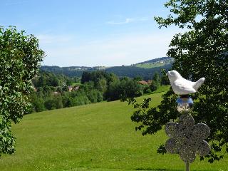 Fewo Gaby in Neuschönau
