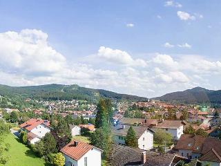 Ferienwohnung Göstl (Nichtraucher) in Bodenmais