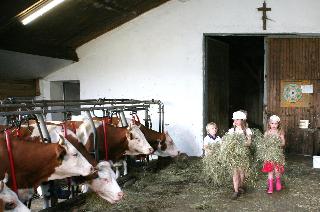 Familienbauernhof König in Regen