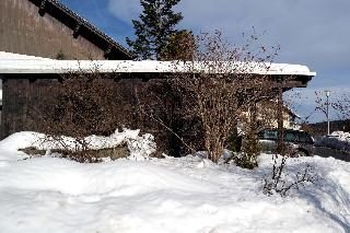 Ferienhaus Mauth in Mauth