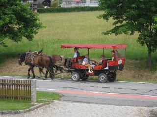 Gästehaus Biggi  in Bodenmais