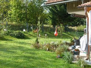 Ferienhaus Linn in Hohenau