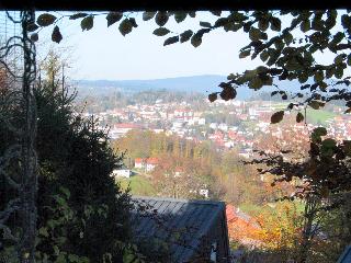 Ferienhaus Hajek in Freyung