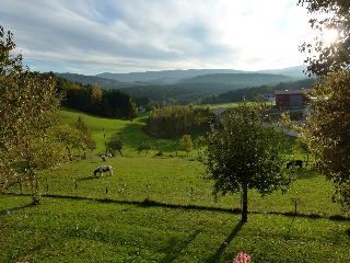 Ferienwohnungen Weghofer **** in Viechtach