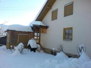 Ferienhaus Klingenbrunn in Spiegelau