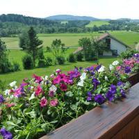 Haus am Waldrand - Ferienwohnung Augustin in Grafenau