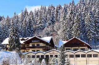 Waldhotel Seebachschleife in Bayerisch Eisenstein