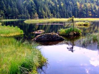 Nationalparkresidenz (Pflaum) in Lindberg