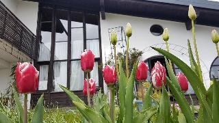 Ferienhaus Mauth in Mauth