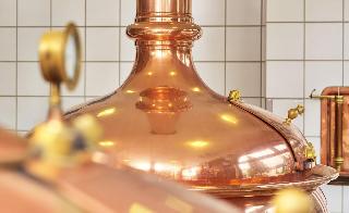 Wander- u. Aktivhotel Adam-Bräu in Bodenmais