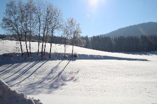Ferienwohnungen Leithenwald in Zwiesel