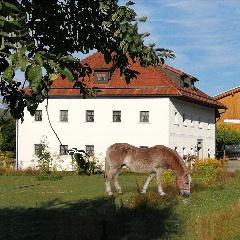 Ferienhof Aiginger in Grafenau