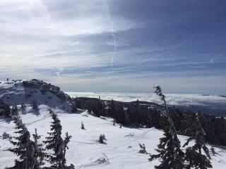 Schweizer Häusl in Bayerisch Eisenstein