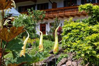 Haus Jägerfleck in Spiegelau