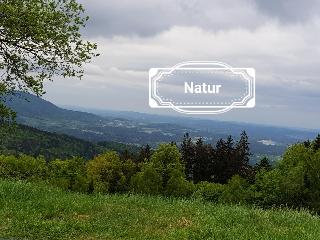 Ferienhaus Klingenbrunn in Spiegelau