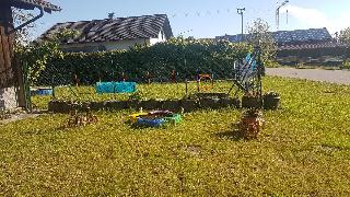Gasthaus-Pension Hilmer in Falkenfels