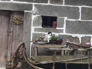  Landurlaub bei Familie Haug in Freyung