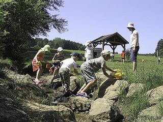 AWO Arber-Feriendorf Zwiesel in Zwiesel