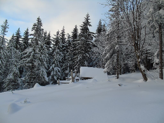 Pension Haus Waldesruh in Lohberg